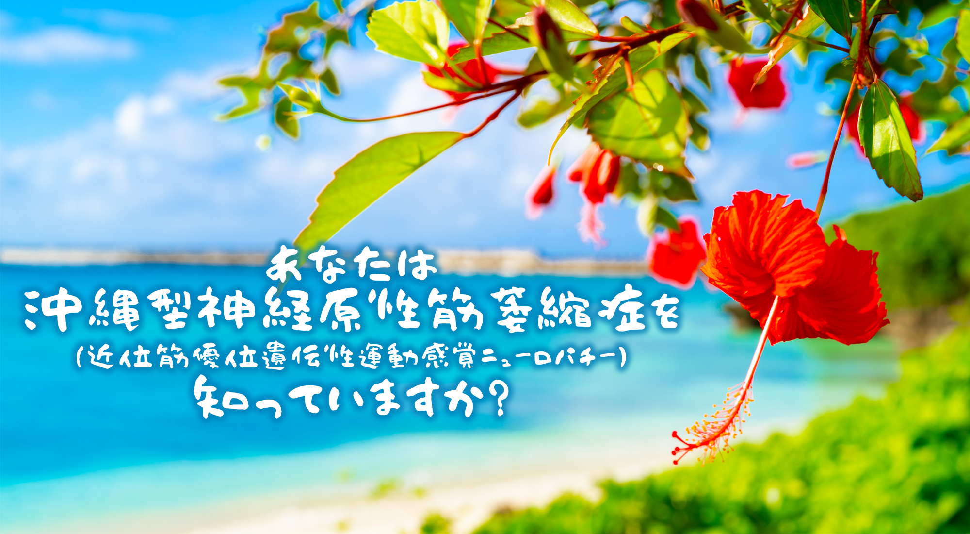 あなたは沖縄型神経原性筋萎縮症を知っていますか？